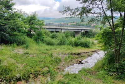 2,64 Ha TEREN SUPERB pe malul raului Crisul Repede padure parau NEGRENI - CLUJ - 14
