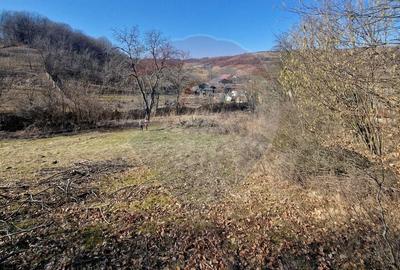 Teren Construcții intravilan de 4985 mp, în Sascut - 8