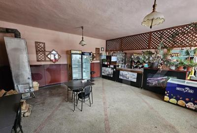 Spatiu Comercial + Apartament de vanzare Comuna Romuli - 3