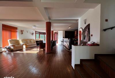 Vila 5 camere, 5 bai. 1200 mp curte, 230 utili.Situata in Buziaș/Timiș - 11