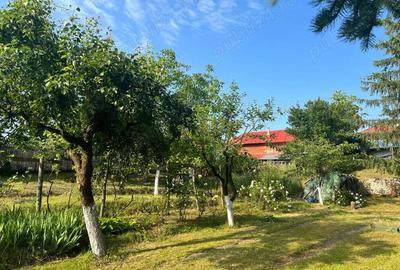 Casă cu 4 camere în Vărzaru - 6