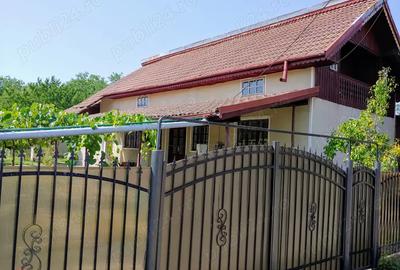 Casa individuala cu teren 1000m mobilata Cocorova, Mehedinti - 2