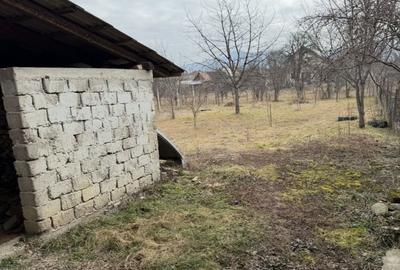 Casă cu 3 camere în Central - 1