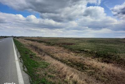 Teren de 13000 mp, în Sânmihaiu Român - 3