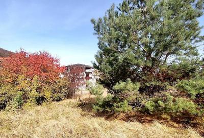 Teren Intravilan Bunloc - 1