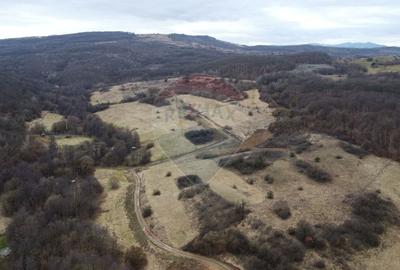 Teren Construcții intravilan de 999 mp, în Florești - 19