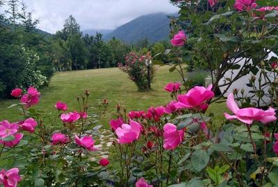 Casă cu 5 camere în Dejani - 1