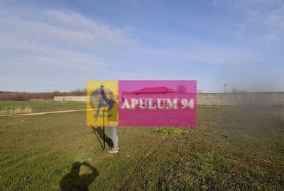 Teren de 369 mp, în 1 Decembrie - 8