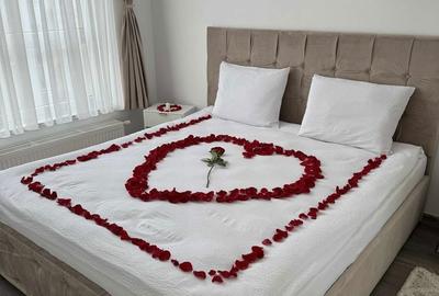 Apartament cu 2 camere decomandat în Avantgarden - 8