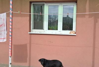 Casa de vanzare Casa de vanzare - 3