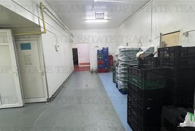 Hala de vanzare | 430 mp | Splaiul Unirii - 6