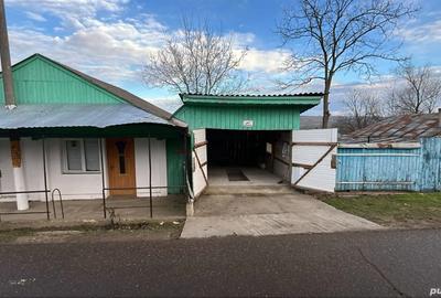 Casa de vanzare in Sat Saceni. - 6