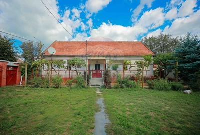 Casa cu 4 camere de vanzare  si teren 4063 mp, in Ineu, Bihor - 14