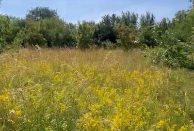 Teren de 470 mp, în Becaș