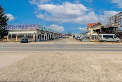Spațiu industrial, de 1,053 mp, în Narcisa - 1