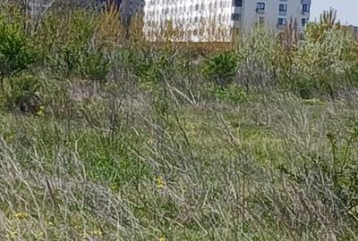 Teren Construcții intravilan de 6100 mp, în Theodor Pallady - 3