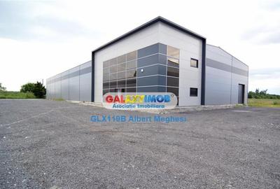 Spatiu Depozitare/Hala Centura-Mogosoaia Spatiu Depozitare/Hala Centura-Mogosoaia - 2