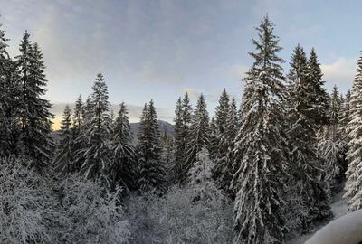 Apartament cu 2 camere decomandat în Central - 3