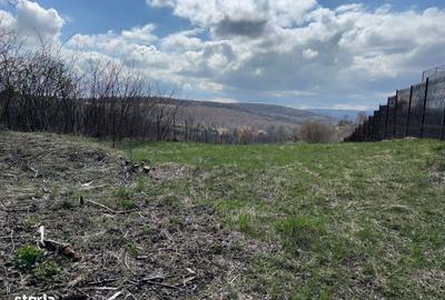 Spațiu comercial, în Feleacu - 3