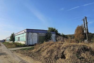 Hala industriala (1000 mp) si teren (4000 mp), Scornicesti, Trafo - 8