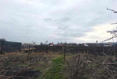 Casă cu 3 camere cu Teren 2000 Mp în Criș - 13