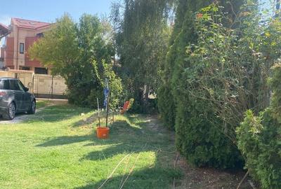 Piata Unirii-metrou Tineretului-Parcul Tineretului Piata Unirii-metrou Tineretului-Parcul Tineretului - 4