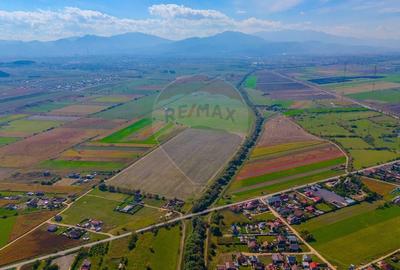 Teren intravilan 10,000 mp Bod - 2