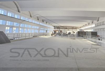 Sos Giurgiului - Jilava, 5400 mp pod rulant - 5