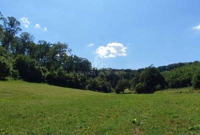 Teren de vanzare, 20.000Mp , Comuna Danes, drumul Crisului - 9