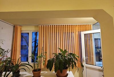 Apartament cu 3 camere decomandat în Brazda lui Novac - 9