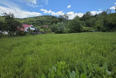 Spațiu comercial, în Cozieni - 7