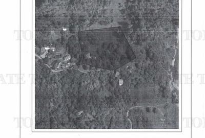 Teren Construcții intravilan de 11230 mp, în Breaza de Sus - 8