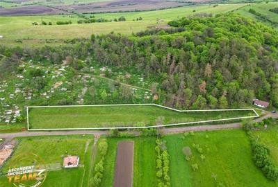 6.500 mp teren intravilan, la 10 min de orasul Covasna: Papauti - 6