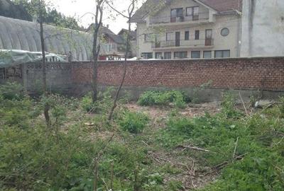 Casă cu 3 camere în Câmpeni - 7