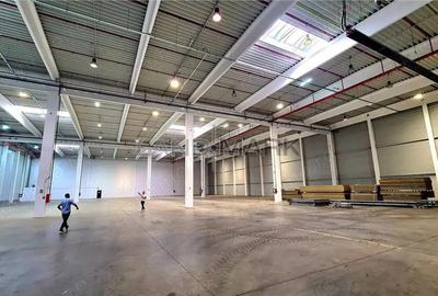 Hala industriala Timisoara, 3500 mp, Zona Lugojului - 5