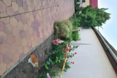 Casă cu 2 camere cu Teren 260 Mp în Central - 4