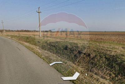 Teren intravilan - 2,5 ha/loc. Vizuresti, Dambovita,desch... - 3