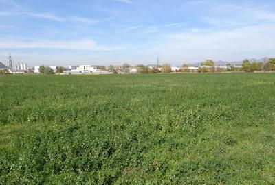 Vand teren intravilan in Deva suprafata totala 43 000 mp, zona Auchan - 8