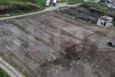 Teren de 10000 mp, în Abator - 3