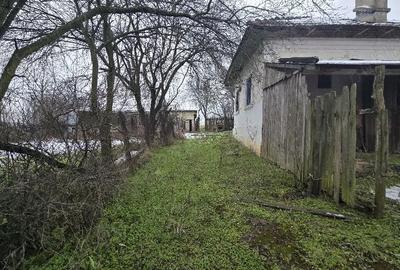 Casă cu 3 camere în Goiești - 1