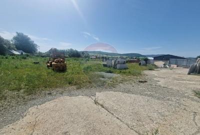 Spațiu industrial, de 290 mp, în Almaș - 8