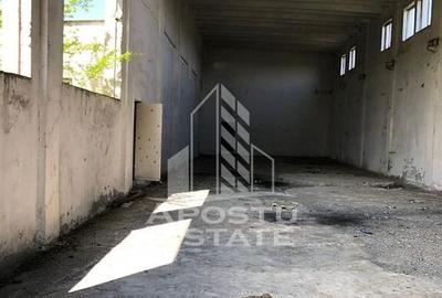 Teren de 8000 mp, în Micălaca - 11