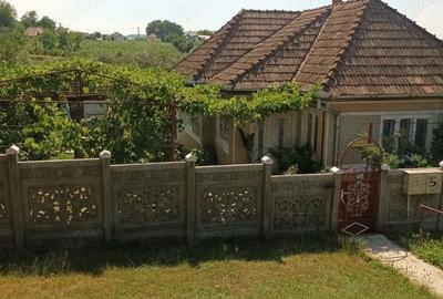 Casă cu 2 camere în Șăulia - 4