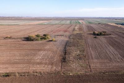 Vanzare teren intravilan 7,400 mp Sabareni / Strada Primaverii - 6