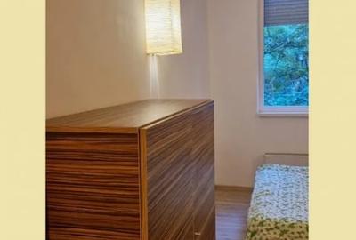 Apartament cu 2 camere decomandat, mobilat în Dristor - 6