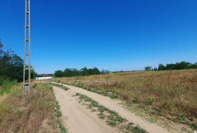 Spațiu comercial, în Malu Mare - 6