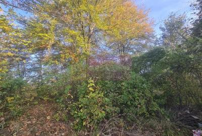 Teren de 3092 mp, în Telega - 5