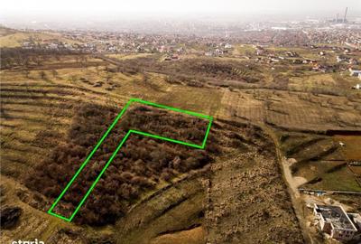 Spațiu comercial, în Podgoria - 5