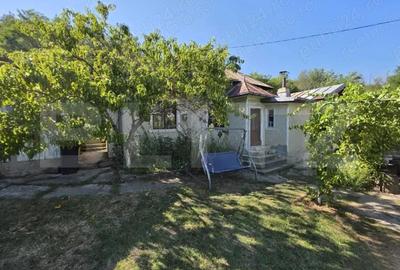 Casă cu 3 camere cu Teren 1820 Mp în Nord - 1