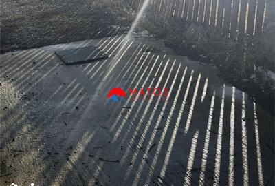 Casă cu 9 camere cu Teren 1750 Mp în Valea Doftanei - 4